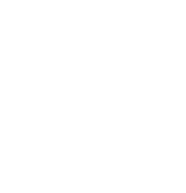 Buisness Hotel Logo